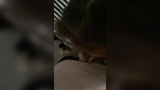 Fidanzata sarda inculata in live dal suo ragazzo