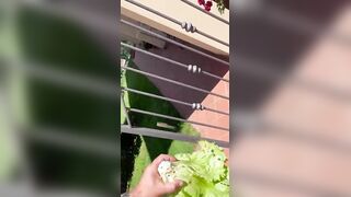 La vicina sulle scale