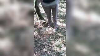 Selene1975 scopa in camporella