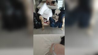 Pornostar italiana Scopata a pecora da suo marito