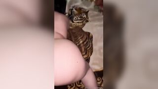 Scopata a pecora e sborrata sulle tettone italiana social OF