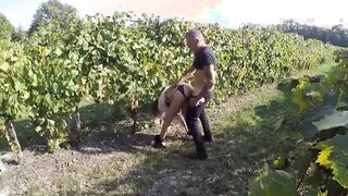 Scopata tra gli ulivi dal contadino