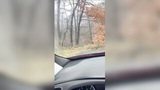 Italiana esibizionista fa una sega nel bosco a sconosciuto