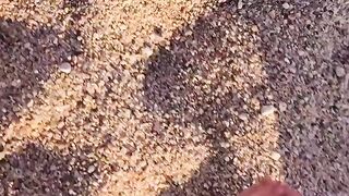 Milf bionda nuda in spiaggia