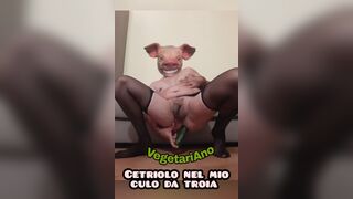 Cetriolo nel mio culo da troia