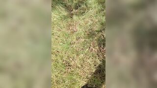 A mia moglie piace essere scopata in giardino