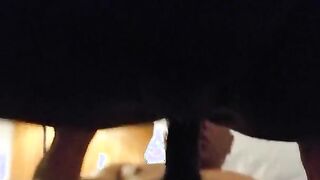 Mia moglie cavalca un toro