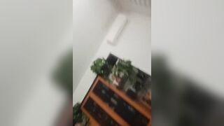 La spacco a pecorina