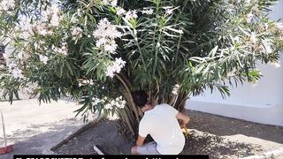 Pompino e gran spagnola al giardiniere