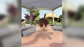 Pompino e calda cavalcata social VR