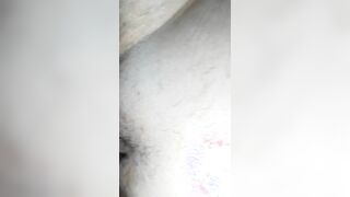 Grande amore grande troia, il mio amore la mia troia