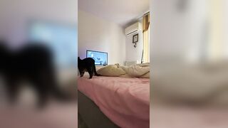 Vieni a casa mia e mi scopi che ho voglia porco