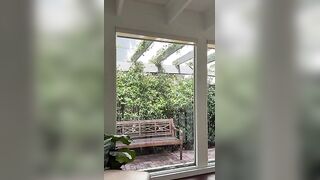 Famosa ofanser italo americana si masturba