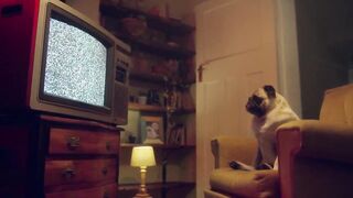 C4nd1 L4yla ragazza italiana tettona casting con nerd peloso