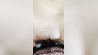 Scopata anel con crampie napoletana porca