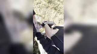 Scopat all'aperto a pecorina su una pietra