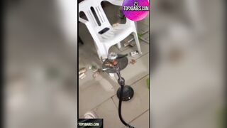 Rebecca barbaro onlylovestella