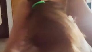 Pompini di mia moglie