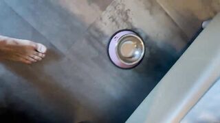 Ho addestrato proprio bene la mia cagna