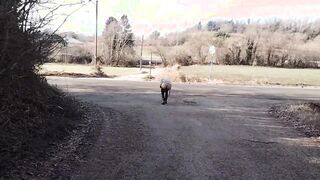 Paseggiata moglie esibizionista che mostra il culo