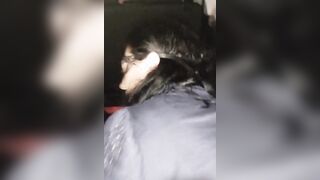 Di notte sesso copia italiana fuori dalla macchina