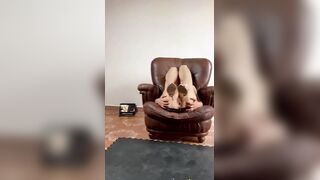 Pompino e gran pecora amatoriale