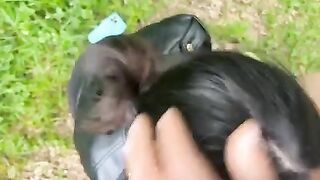 Pompino moglie al parchetto pubblico