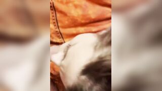 Ti scopo la bocca fino a sborrarti in faccia