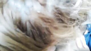 Vuoi fare un pompino al gondoliere?