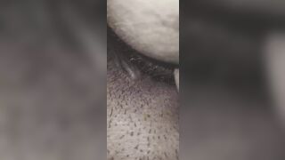 Lecco la fica a mia moglie