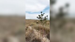 Mostralo bene quel culetto