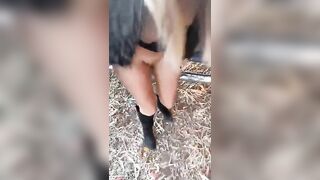 Amore guardami in faccia e succhiami il cazzo