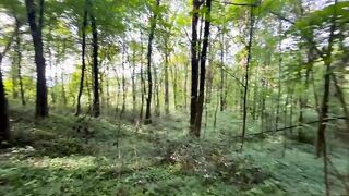 Rischiosa scopata con mia moglie nel bosco