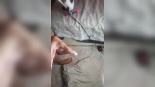 Me lo spingi nei molari che cazzo vuoi