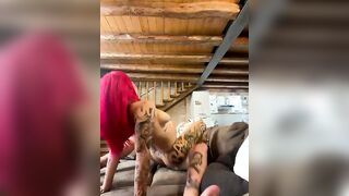 Fidanzata coi capelli rossi tatuata scopata a novanta