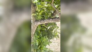 Mi faccio il giardiniere