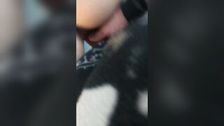 Te lo metto tutto dentro