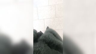 In centro a Milano rizzando cazzi