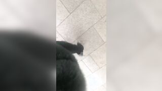 In centro a Milano rizzando cazzi