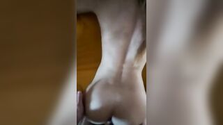 Carlotta presa a pecora