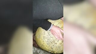 Che bellezza divertirsi con le proprie bambole