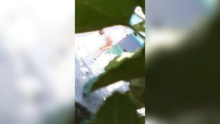 Spiata al mare da guardone