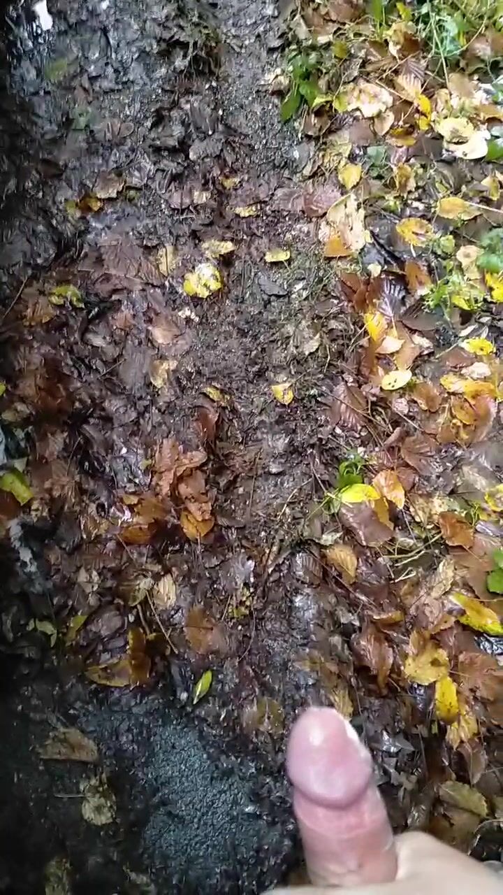 Schizzo nel bosco