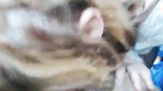 Fa un pompino a gondoliere davanti al cornuto