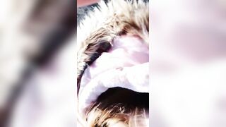 In vacanza agli SCAVI DI POMPEI Pompino moglie italiana esibizionista