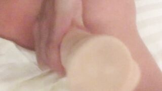 Dice che è grosso la porca