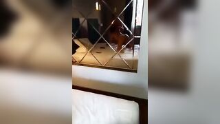 Trio scambisti italiani - Un cazzo in bocca e l'altro la incula