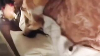 18 enne italiana ripresa da amica mentre scopa con vecchio