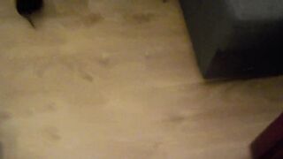 Amatoriale moglie sexy in autoreggenti