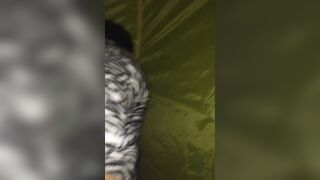 Fidanzata diciottenne gode col cazzo del moroso nel culo